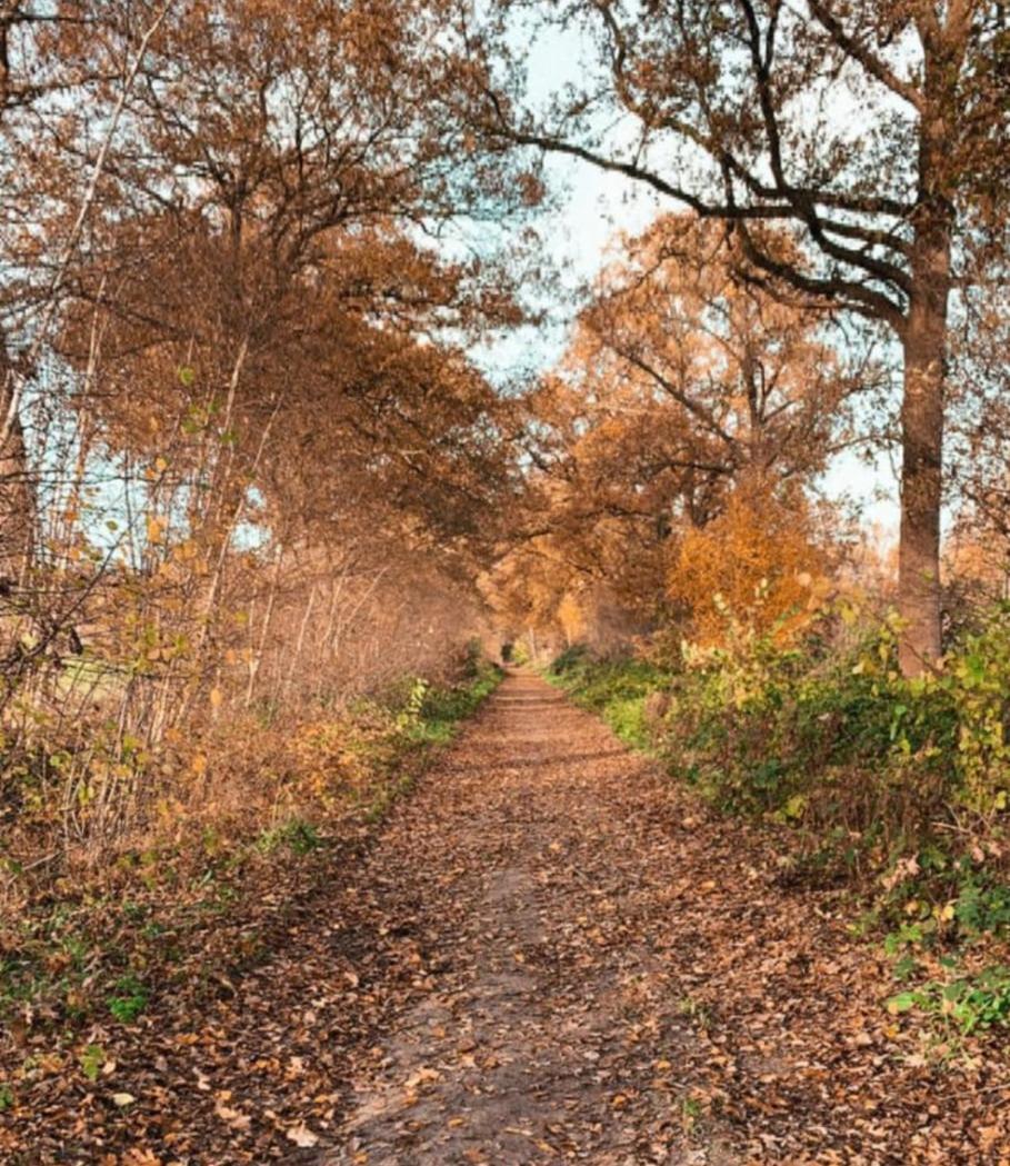 B&B Erve Moeskert Geesteren  エクステリア 写真