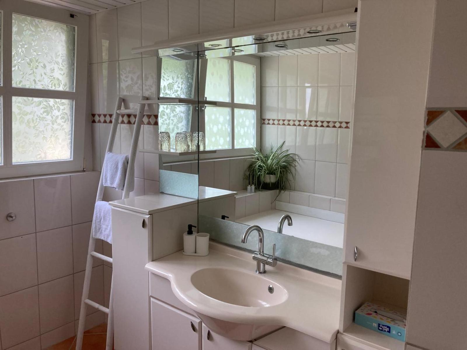 B&B Erve Moeskert Geesteren  エクステリア 写真